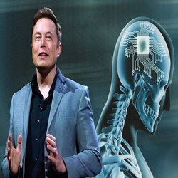 تازه ترین اخبار درباره ایلان ماسک و تصاحب توییتر: تحلیل وضعیت کنونی 