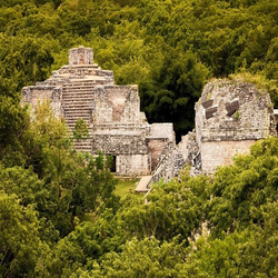 کشف تصادفی یک شهر گمشده مایا توسط دانشجوی دکترا در جنگل های مکزیک 
