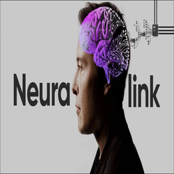 پروژه neuralink توسط ایلان ماسک: ارتباط میان مغر و رایانه ها