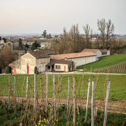 بازسازی و گسترش ملک با هویت تاریخی قوی 