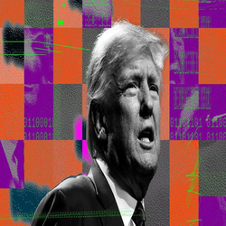 ترامپ از دادگاه عالی می خواهد تا به او اجازه دهد تیک تاک را نجات دهد 