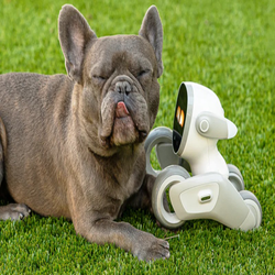 ربات لونا چیست و چه قابلیت هایی دارد؟