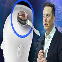 تراشه مغز Blindsight