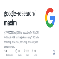 معرفی مدل MAXIM از Google Research؛ بهبود فوق العاده تصاویر با هوش مصنوعی