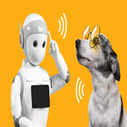 ارتباط با طبیعت از طریق فناوری: ایجاد مکالمات هوش مصنوعی با حیوانات در موزه جانورشناسی کمبریج 