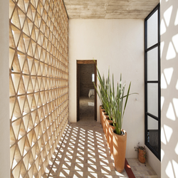 معماری مدرن: خانه ایگوانا و طراحی خلاقانه آن 