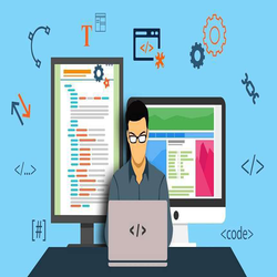 تسلط به تمام زبان های برنامه نویسی فقط با دو وب سایت کاربردی!