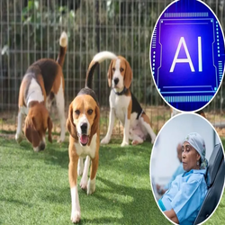 تشخیص زودهنگام سرطان با ترکیب هوش مصنوعی و حس بویایی سگ ها