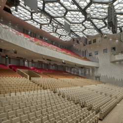 پروژه یاشوبومی: دستاورد هند