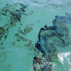 وضعیت پاکسازی نشت نفت BP Deepwater Horizon: چهارده سال پس از فاجعه 