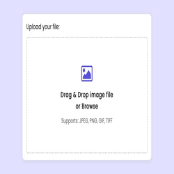 استفاده از قابلیت های "Drag and Drop" برای مدیریت سریع فایل ها
