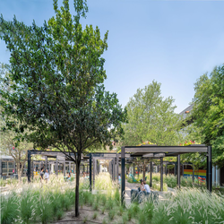 اهمیت فضاهای طبیعی در محوطه دانشگاه: بازسازی باغ ها برای رونق روانی دانش آموزان 