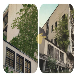 با این هوش مصنوعی، عکساتونو از این رو به اون رو کنید!