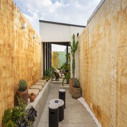 تراس روما: بهشت آرام در قلب مکزیکوسیتی 